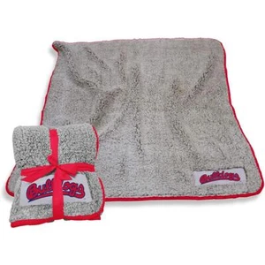 Fresno State Bulldogs Frosty Fleece Blanket - Picture 1 of 1