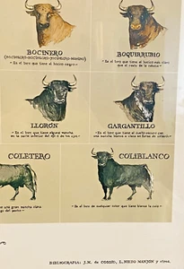 HAIRS AND PAINTS of the LEDIA BULLS POSTER by Fernando Redón\J. Mª de Cossio, L. - Picture 1 of 8