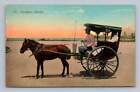 Caramata Donkey Cart Manila Philippines Antique Denniston's Postcard ~1910S