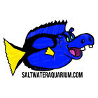 HippoTang SaltwaterAquarium.com Sticker (FREE OVER $50) - SAQ.com