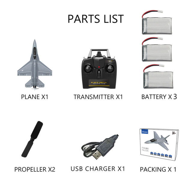 Avião de Controle Remoto Falcon