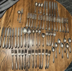 Vintage 1847 Rogers Bros Springtime Reed Barton Silverware Flatware 64 Pieces - Picture 1 of 12