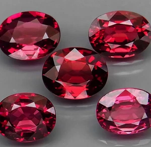 1 Granate-Rodolito Rojo Cereza (VVS) Ovalado 8x6 mm, ¡¡Excelente Brillante!!!  - Imagen 1 de 1