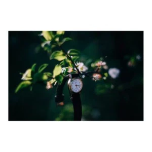 PHOTO PRINT - ALL THINGS GO - Picture 1 of 1