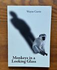 Monkeys In A Looking Glass By Wayne Curtis 