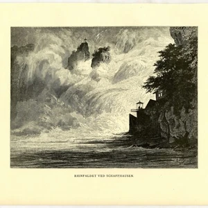 The Fall at Schaffhausen by E. Heyn 1883 Nature Print Disbound Antique Book - Picture 1 of 3