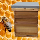 National Bee Hive Cedar Bee Keeping 2 Super 1 Brood Beehive Beekeeping Apiary