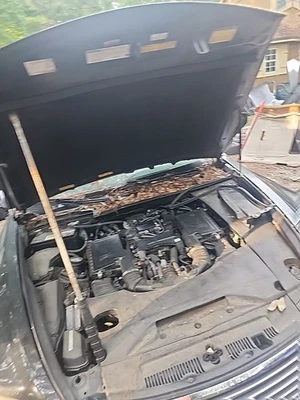 Lexus LS 460 2009 capó OEM 2007 2008 2009 2010 2011 2012 Lexus LS460 Foto 1 de 4