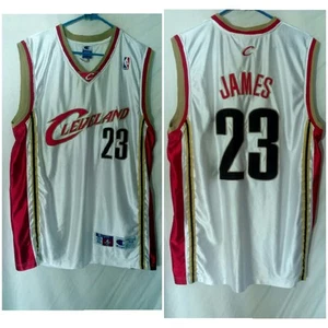 LeBron James Cleveland Cavaliers NBA Basketball Pro Cut Jersey Champion SIZE 48 - Picture 1 of 7