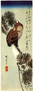 Japanese Art: Hiroshige Birds: Little Brown Owl on Pine Branch - Fine Art Print - Picture 1 of 1