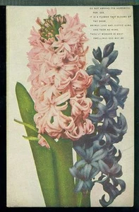 THOU'LT WONDER IN WHAT WILLINGS GOD MAY BE Postal Grande Jacinto De Colección - Imagen 1 de 1