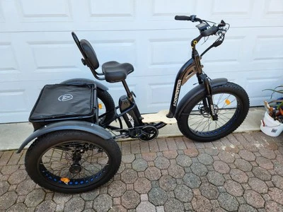 Triciclo eléctrico Addmotor Grandtan Plus II 750W motor trasero Foto 1 de 4