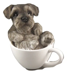 Money Box Statue Ornament Figurine Home Decor  - Schnauzer in a Teacup - Picture 1 of 5