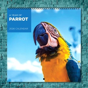Parrot 2026 Wall Calendar, 12-Month Celebrity Photo Calendar - Picture 1 of 4