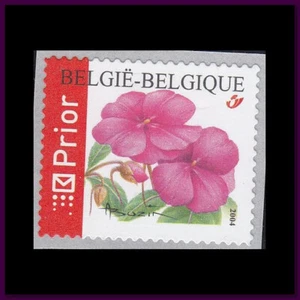 Belgium 2004 (3347) Flower - Picture 1 of 1