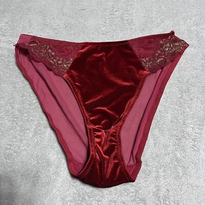 Bragas vintage para mujer grandes bikini de terciopelo rojo espalda transparente encaje Y2K Foto 1 de 4
