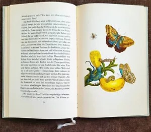 1957 in 1. Auflage: Das ist Merians Tochter ! Maria Sybilla entdeckt eine Welt - Bild 1 von 10