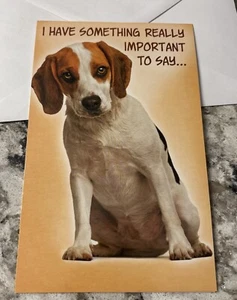 Birthday Funny Dog Something Important To Say.. 5'x7.75" Stockwell Greeting Card - Picture 1 of 12
