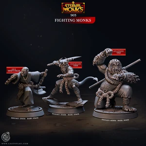 Außenseiter Mönche Miniatur Set Elite Mönch Kämpfer Figur für TTRPG's wie D&D 5e - Bild 1 von 16