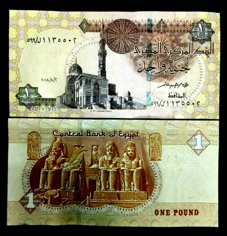 Egypt 1 Pound Banknote World Paper Money UNC Currency Bill Note Cover