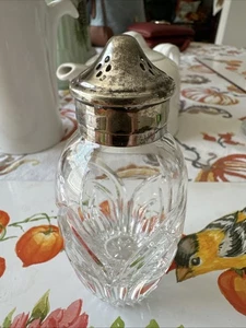 1 raro shaker sale (o pepe) vetro pesante cristallo piombo pieno LENOX Saratoga - Foto 1 di 5