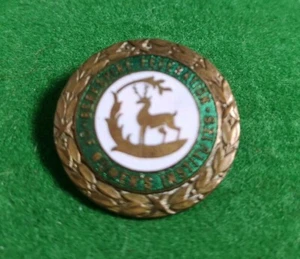 BEAUTIFUL VERY RARE WI BERKSHIRE FEDERATION WOMENS INSTITUTE ENAMEL BADGE PIN - Picture 1 of 2