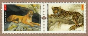CHAT SAUVAGE LÉOPARD COUGAR PUMA = ÉMISSION COMMUNE avec CHINE Canada 2005 #2123a neuf dans son emballage neuf dans son emballage