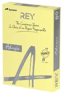 Rey Adagio A4 80GSM Teinté Papier, Jaune, Paquet De 500 - ADAGI080X693 - Photo 1/1