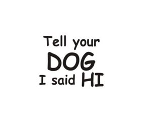 Tell you Dog I said HI decal, DOG MOM, DOG DAD,funny window sticker, - Bild 1 von 7