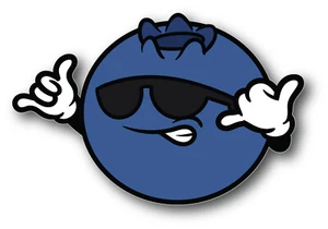 Blueberry Hang Loose Ten Shaka Vinyl Sticker Bumper Decal - Picture 1 of 1