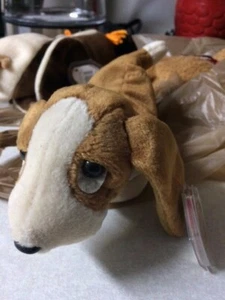 TY BEANIE BABIES RARE Tracker 1997 Beanie Baby with errors. - Picture 1 of 3
