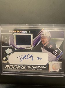 2022-23 SPX Rookie Jersey Spectrum Dylan Samberg Auto #ds 27/65