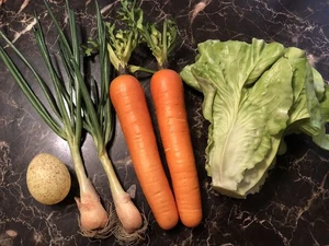 Espositore Alimenti Artificiali Finti/Finti Verdure Alimenti Prop Lattuga, Cipolle, Carote - Foto 1 di 4