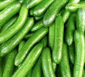 Cucumber Chinese Slangen - 25x Seeds - Vegetable - Picture 1 of 1
