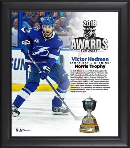 Victor Hedman TB Lightning Frmd 15" x 17" 2018 NHL Norris Trophy Winner Collage Cover