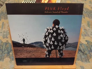 LP DOPPIO DAL VIVO , LIVE , DELICATE SOUND OF THUNDER , PINK FLOYD, ANNI 80 - Foto 1 di 6