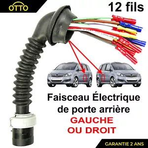 Opel ZAFIRA B (2005-2014) Faisceau Electrique de Porte Arriere Gauche ou Droite - Imagen 1 de 9
