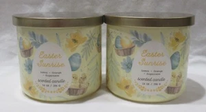 Juego de 2 velas Kirkland's tarros de 14 oz 3 mechas hasta 25 horas AMANECER DE PASCUA NARANJA - Imagen 1 de 4