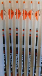 @NEW@ 6- Easton 6.5mm 340 Classic Carbon Arrows Custom Dip/Crest & Blazer Vanes - Picture 1 of 2