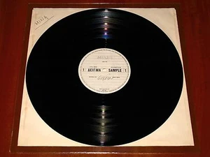 MINA FRUTTA E VERDURA *RARE* GREEK TEST PRESSING VINYL LP 1981 ARCHIVE COPY !! - Foto 1 di 3