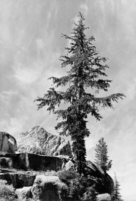 Impresión artística de Ansel Adams Kings River Canyon California como giclee + envío gratuito Foto 1 de 3