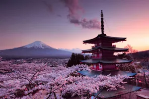Cherry Blossoms Japanese Castle Mount Fuj Print Wall Art Home - POSTER 20"x30" - Picture 1 of 3