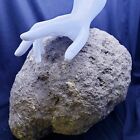 11” Large Unopened Geode Crystal Quartz Break your Own Kentucky 19.7Lb Rattler