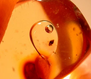 Large Frozen Water Bubble Enhydro in Dominican Amber Fossil Gemstone - Picture 1 of 9