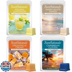 Scentsationals Wax Melts Staycation 4er Pack - Langanhaltende Wachswürfel mit Stro - Bild 1 von 5