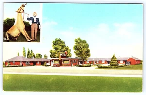 York Nebraska Buzz's Deluxe Motel chrome postcard B085 - Picture 1 of 2