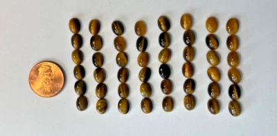 LOT OF 12 PIECES GENUINE NATURAL 8X6MM OVAL CAB BROWN TIGEREYE BELOW WHOLESALE - Image 1 of 4