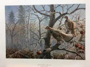 Stampa artistica firmata e numerata David Maass Abandoned Fruchard Ruffed Grouse - Foto 1 di 1