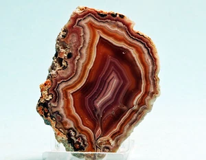 Laguna Agte Slice Mexico Choice, Top end - Picture 1 of 2