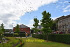 Photo 6x4 Flock of birds Derry / Londonderry There's a drone flying among c2018
